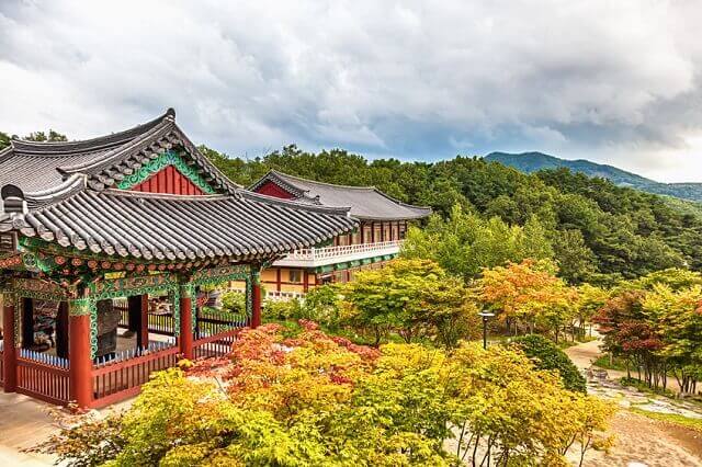 韓国の秋の風景